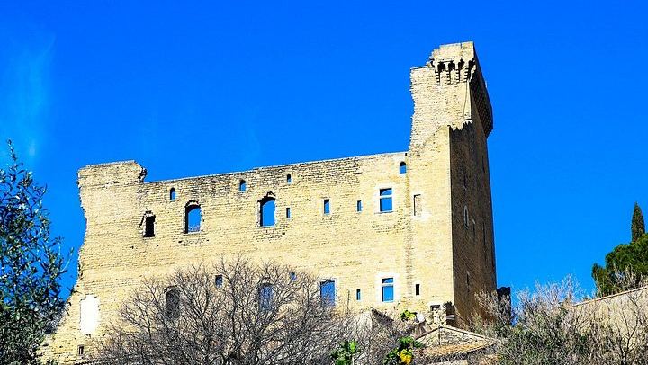 Private Full-Day Châteauneuf-du-Pape Tour: Fortia, La Nerthe, La Gardine, Lunch Stop (4/12)