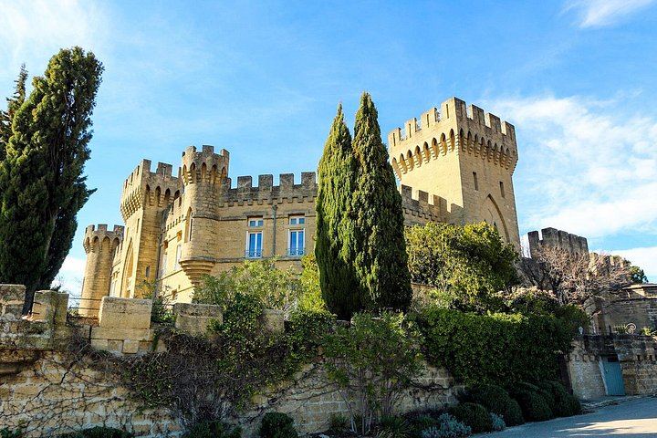 Private Full-Day Châteauneuf-du-Pape Tour: Fortia, La Nerthe, La Gardine, Lunch Stop (3/12)