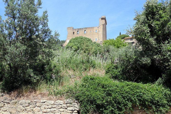 Private Full-Day Châteauneuf-du-Pape Tour: Fortia, La Nerthe, La Gardine, Lunch Stop (10/12)