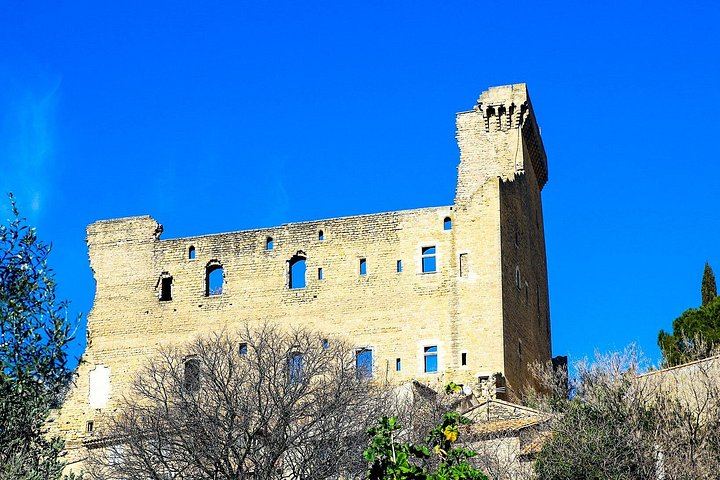 Private Full-Day Châteauneuf-du-Pape Tour: Fortia, La Nerthe, La Gardine, Lunch Stop (4/12)