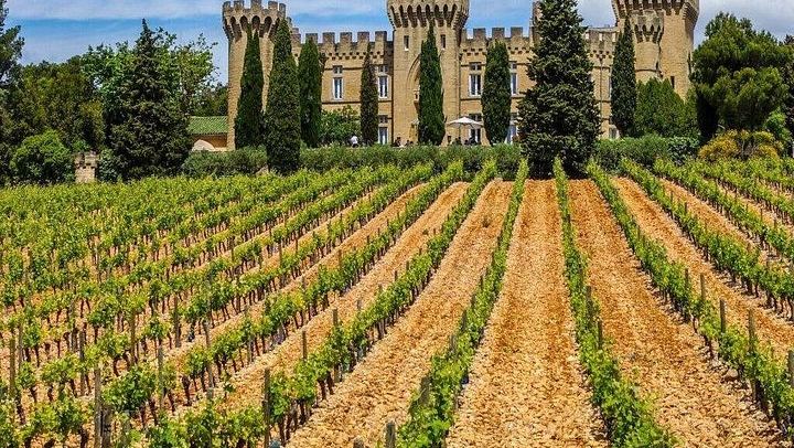 Private Full-Day Châteauneuf-du-Pape Wine Tour from Marseille with Avignon Stop and Lunch (1/7)