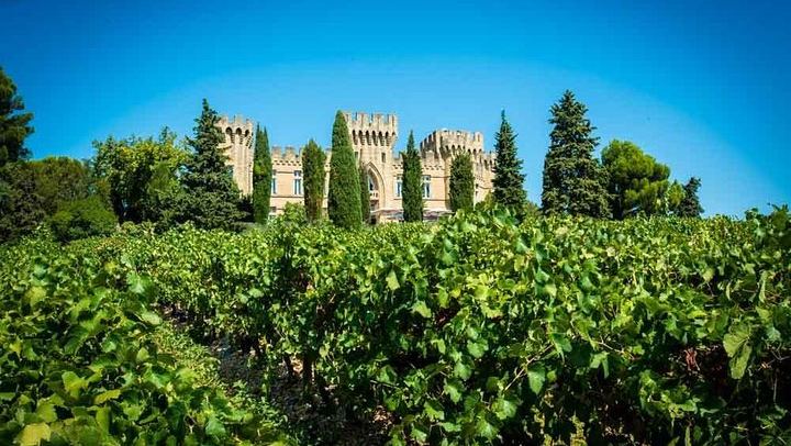 Châteauneuf-du-Pape Wine Tour from Avignon: Sommelier Guide and Medieval Cellar (1/3)