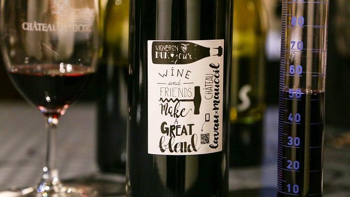Wine Day from Avignon: Three Tastings in Châteauneuf, Gigondas or Séguret, Lunch Included (3/7)