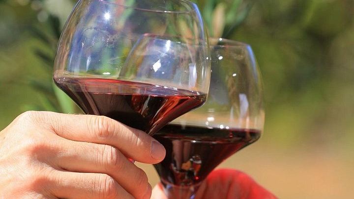 Wine Day from Avignon: Three Tastings in Châteauneuf, Gigondas or Séguret, Lunch Included (1/7)