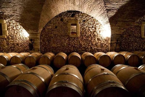 Châteauneuf-du-Pape Wine Tour from Avignon: Sommelier Guide and Medieval Cellar