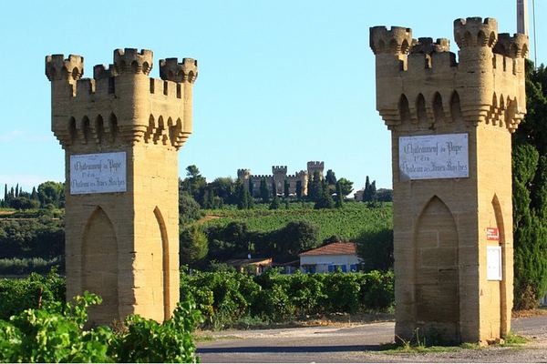 Half-Day Côtes du Rhône Crus Tour from Avignon: Two Wineries, Morning or Afternoon