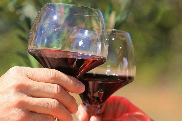 Wine Day from Avignon: Three Tastings in Châteauneuf, Gigondas or Séguret, Lunch Included (1/7)