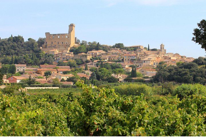 Wine Day from Avignon: Three Tastings in Châteauneuf, Gigondas or Séguret, Lunch Included (6/7)