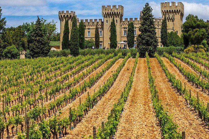 Private Full-Day Châteauneuf-du-Pape Wine Tour from Marseille with Avignon Stop and Lunch (1/7)