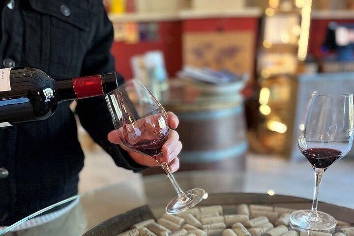 Private Full-Day Châteauneuf-du-Pape Wine Tour from Marseille with Avignon Stop and Lunch (7/7)