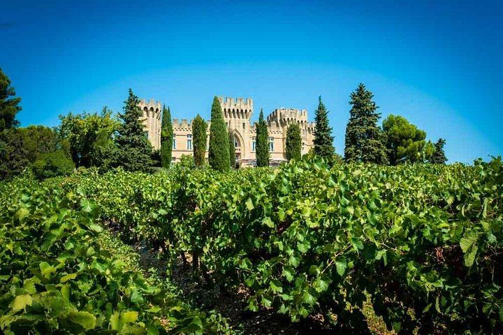 Châteauneuf-du-Pape Wine Tour from Avignon: Sommelier Guide and Medieval Cellar (1/3)