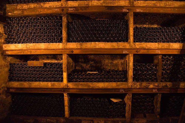 Châteauneuf-du-Pape Wine Tour from Avignon: Sommelier Guide and Medieval Cellar (3/3)