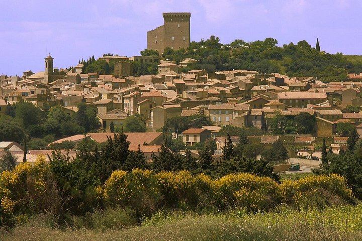 Half-Day Côtes du Rhône Crus Tour from Avignon: Two Wineries, Morning or Afternoon (6/8)