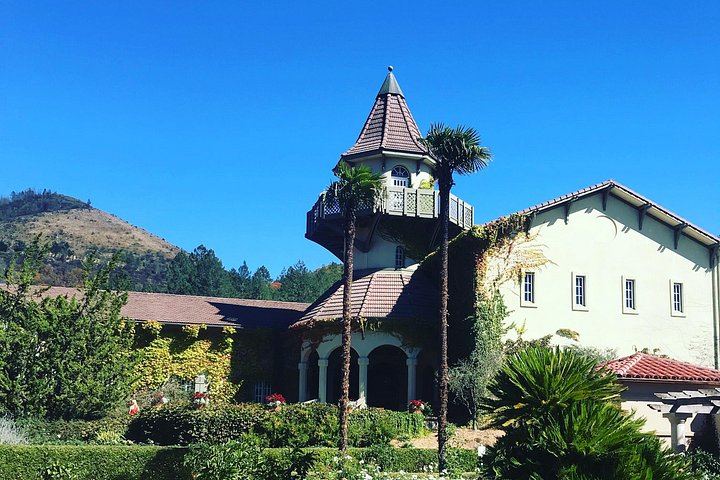Customized 8-Hour Private Sonoma and Napa Wine Day from San Francisco in an XL SUV (5/12)