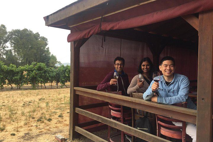 Small-Group Sonoma Wine Tour from San Francisco: Three Boutique Wineries (8/8)