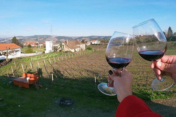 Douro Valley Premium Small Group from Porto: Port Tasting, Boat Ride, Farm Lunch (8/12)