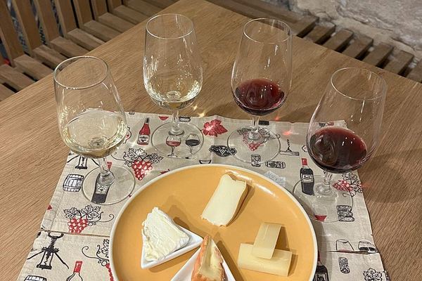 Cheese and Wine Pairing Session in a Dijon Vaulted Cellar: One Hour, Groups Under Six