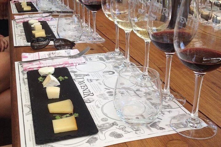 Private Customisable Stellenbosch Wine Tour: Flexible Route, Pay-As-You-Taste Fees (2/11)