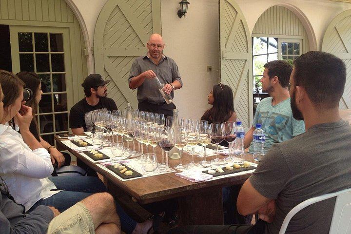 Stellenbosch Small-Group Wine Tour, Max 8 Guests, Changing Daily Route (2/12)