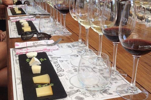 Stellenbosch Small-Group Wine Tour, Max 8 Guests, Changing Daily Route