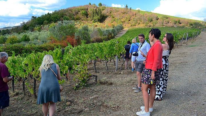 Chianti Classico and Super Tuscan Tasting at 3 Wineries, Lunch at a Boutique Wine Shop (1/12)