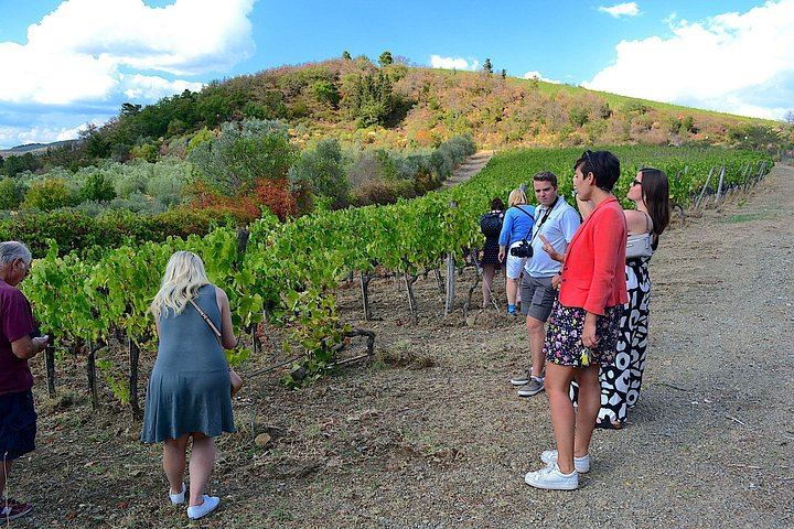 Chianti Classico and Super Tuscan Tasting at 3 Wineries, Lunch at a Boutique Wine Shop (1/12)