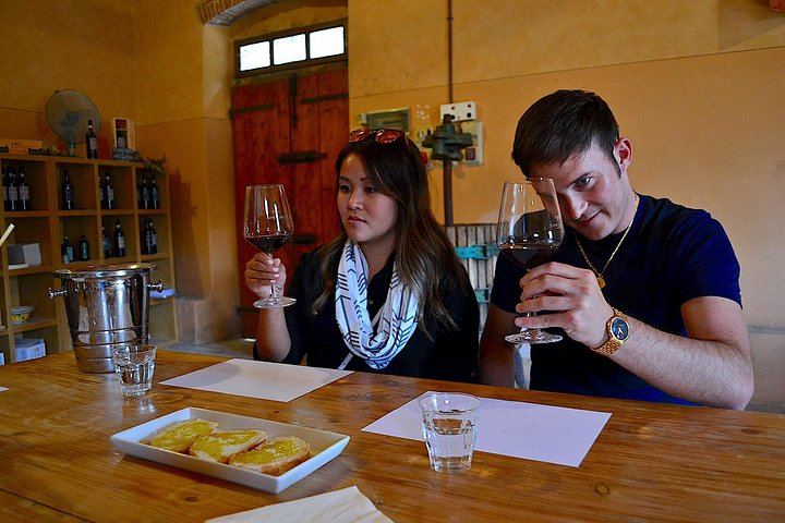 Chianti Classico and Super Tuscan Tasting at 3 Wineries, Lunch at a Boutique Wine Shop (10/12)