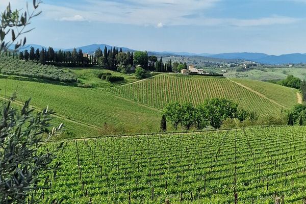 Private Chianti Classico Tour by Mercedes E-Class: Poggio Amorelli Lunch, Gabbiano Castle