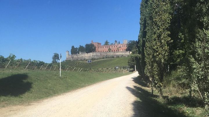Chianti Classico E-Bike Day from Siena: Brolio Castle, Winery and Lunch (3/6)