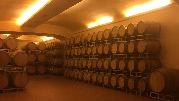 Chianti Classico E-Bike Day from Siena: Brolio Castle, Winery and Lunch (4/6)