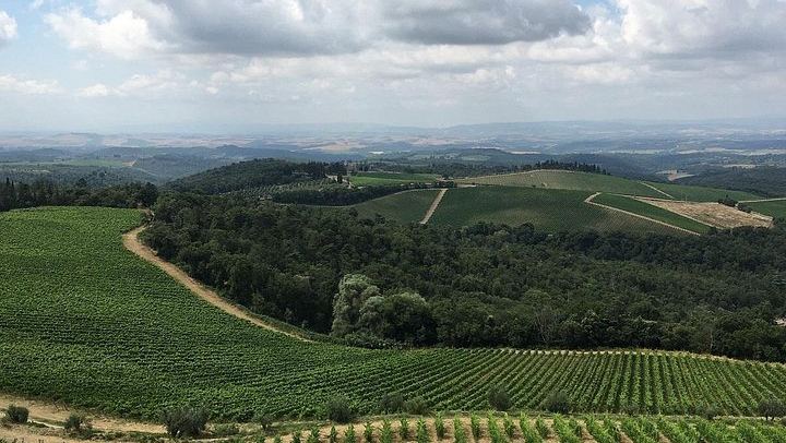 Chianti Classico E-Bike Day from Siena: Brolio Castle, Winery and Lunch (2/6)