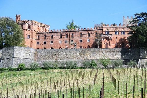 Chianti Classico E-Bike Day from Siena: Brolio Castle, Winery and Lunch