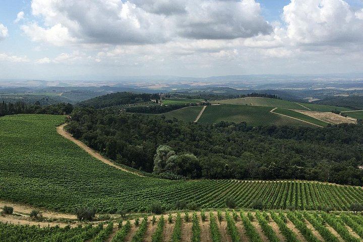 Chianti Classico E-Bike Day from Siena: Brolio Castle, Winery and Lunch (2/6)