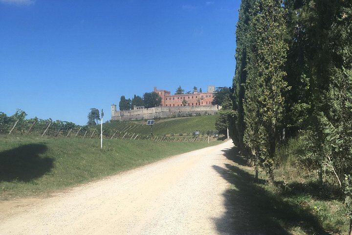 Chianti Classico E-Bike Day from Siena: Brolio Castle, Winery and Lunch (3/6)