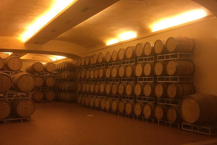 Chianti Classico E-Bike Day from Siena: Brolio Castle, Winery and Lunch (4/6)