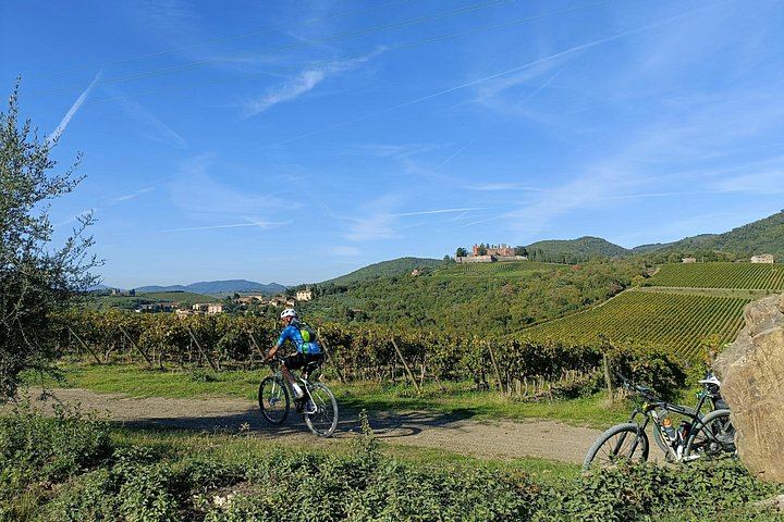 Chianti Classico E-Bike Day from Siena: Brolio Castle, Winery and Lunch (5/6)