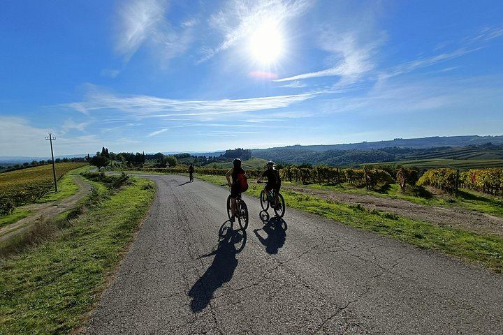 Chianti Classico E-Bike Day from Siena: Brolio Castle, Winery and Lunch (6/6)