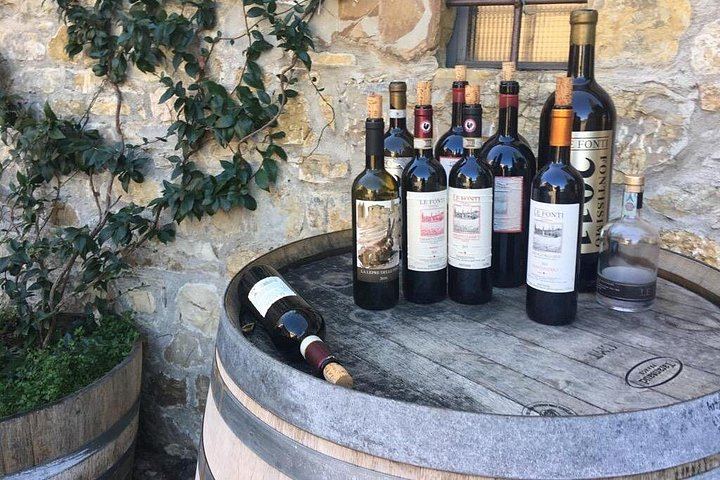 Chianti Classico Private Minivan Day from Florence: Montefioralle, Panzano and Farm Lunch (6/12)