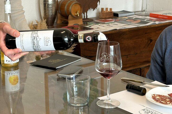 Private Chianti Afternoon Wine Tour along the Via Chiantigiana with Hotel Pickup (1/12)