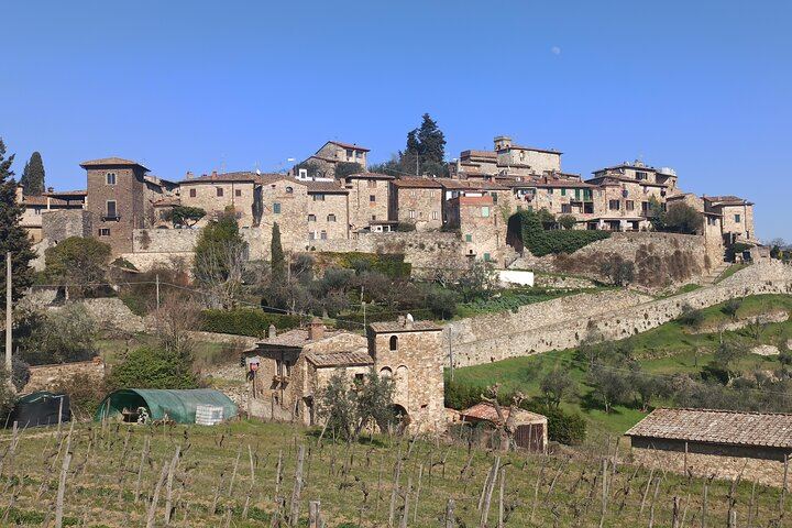 Private Chianti Afternoon Wine Tour along the Via Chiantigiana with Hotel Pickup (12/12)