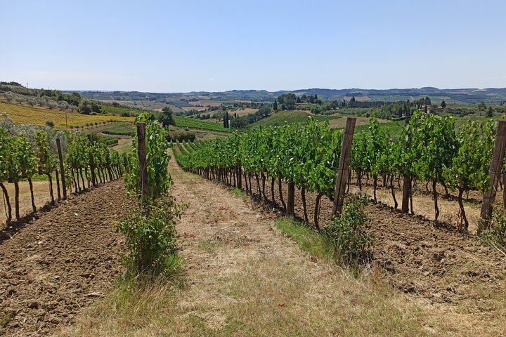 Private Chianti Afternoon Wine Tour along the Via Chiantigiana with Hotel Pickup (6/12)