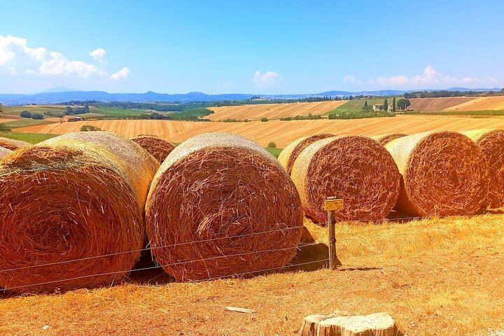 Private Chianti Afternoon Wine Tour along the Via Chiantigiana with Hotel Pickup (7/12)