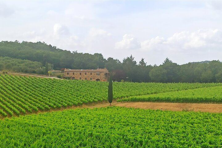 Private Chianti Afternoon Wine Tour along the Via Chiantigiana with Hotel Pickup (8/12)