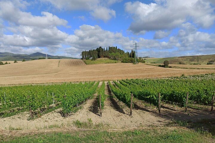 Private Chianti Afternoon Wine Tour along the Via Chiantigiana with Hotel Pickup (3/12)