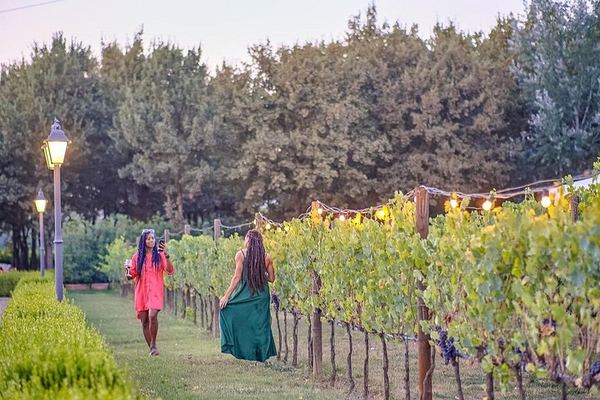 Chianti Winery Tour from Florence with Sunset Dinner Among the Vines, Max 25 People