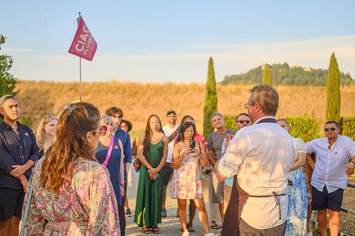 Evening Chianti Coach Tour from Florence: Two Wineries and a Four-Course Vineyard Dinner (5/12)