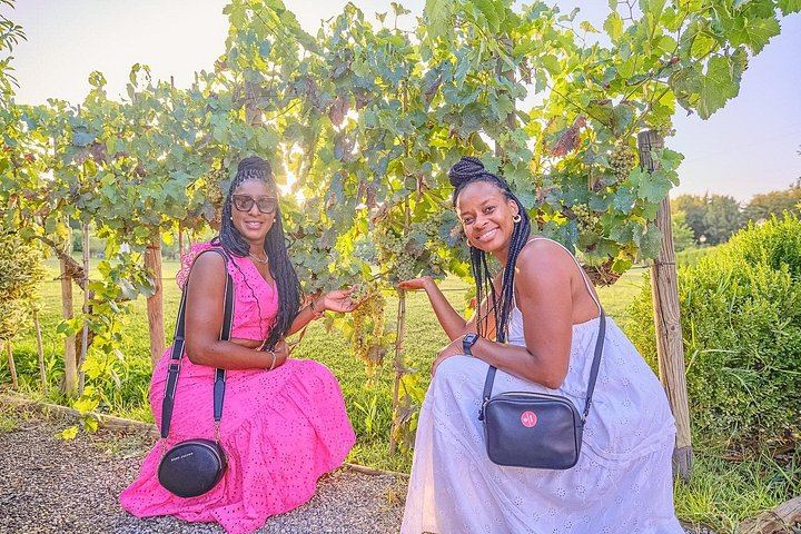 Evening Chianti Coach Tour from Florence: Two Wineries and a Four-Course Vineyard Dinner (11/12)