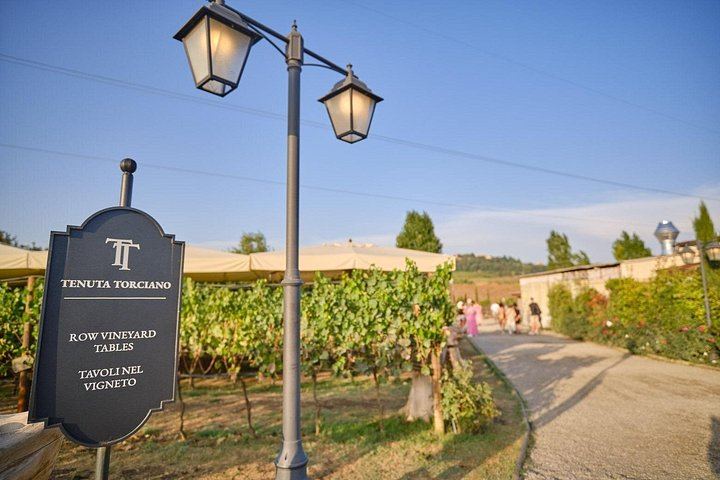 Evening Chianti Coach Tour from Florence: Two Wineries and a Four-Course Vineyard Dinner (3/12)