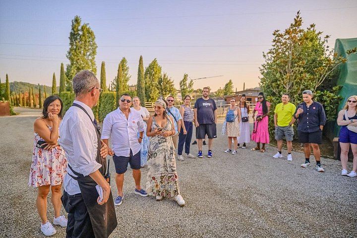 Evening Chianti Coach Tour from Florence: Two Wineries and a Four-Course Vineyard Dinner (8/12)
