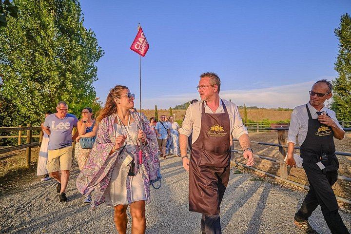 Evening Chianti Coach Tour from Florence: Two Wineries and a Four-Course Vineyard Dinner (10/12)